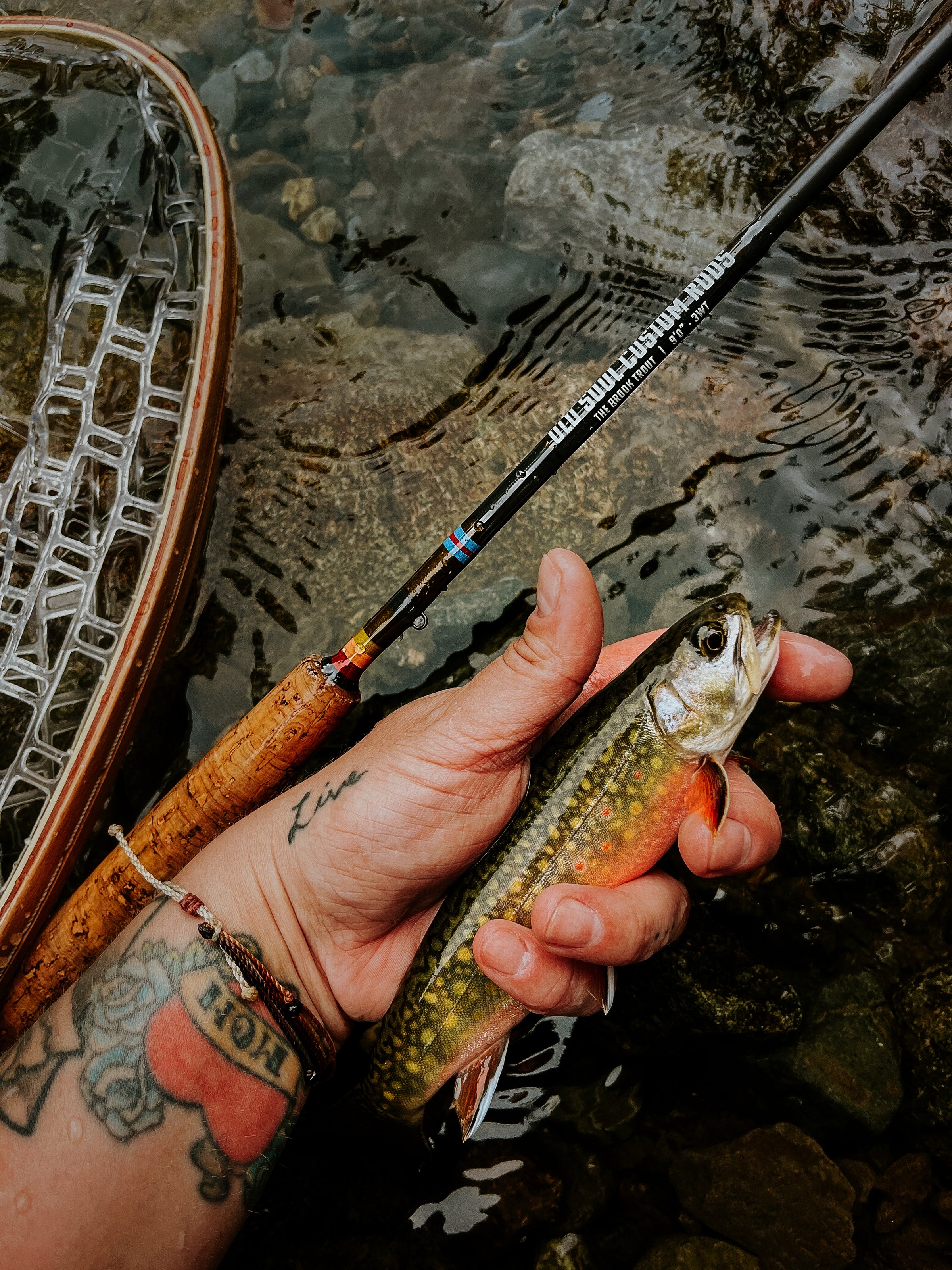 Rod Reel What Is The Best Weight Fly Rod For Trout Backpacking And  Flyfishing In The